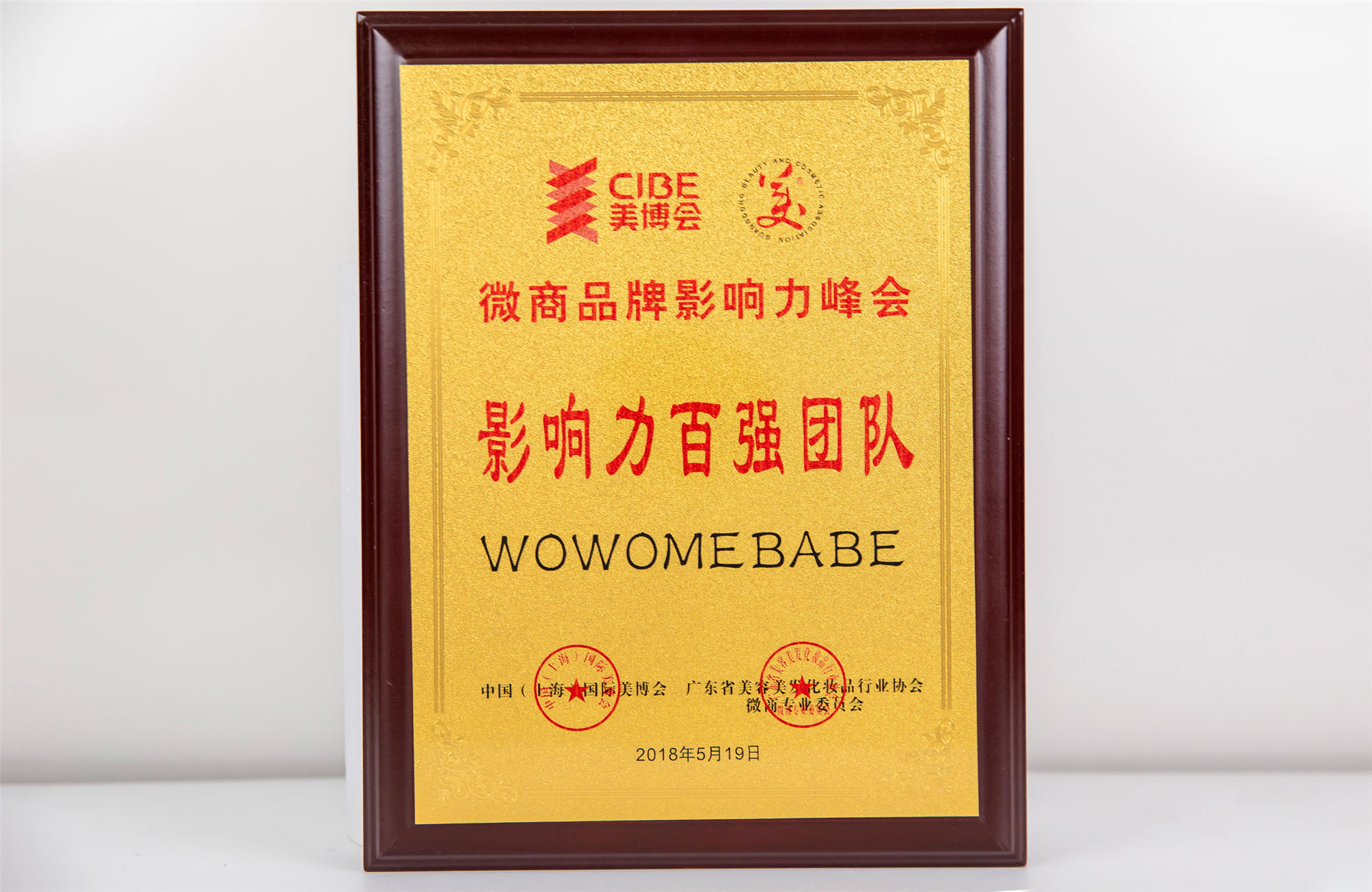 中國（上海）國際美博會影響力百強(qiáng)團(tuán)隊(duì)